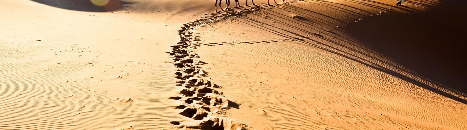 tourist-attractions-morocco1