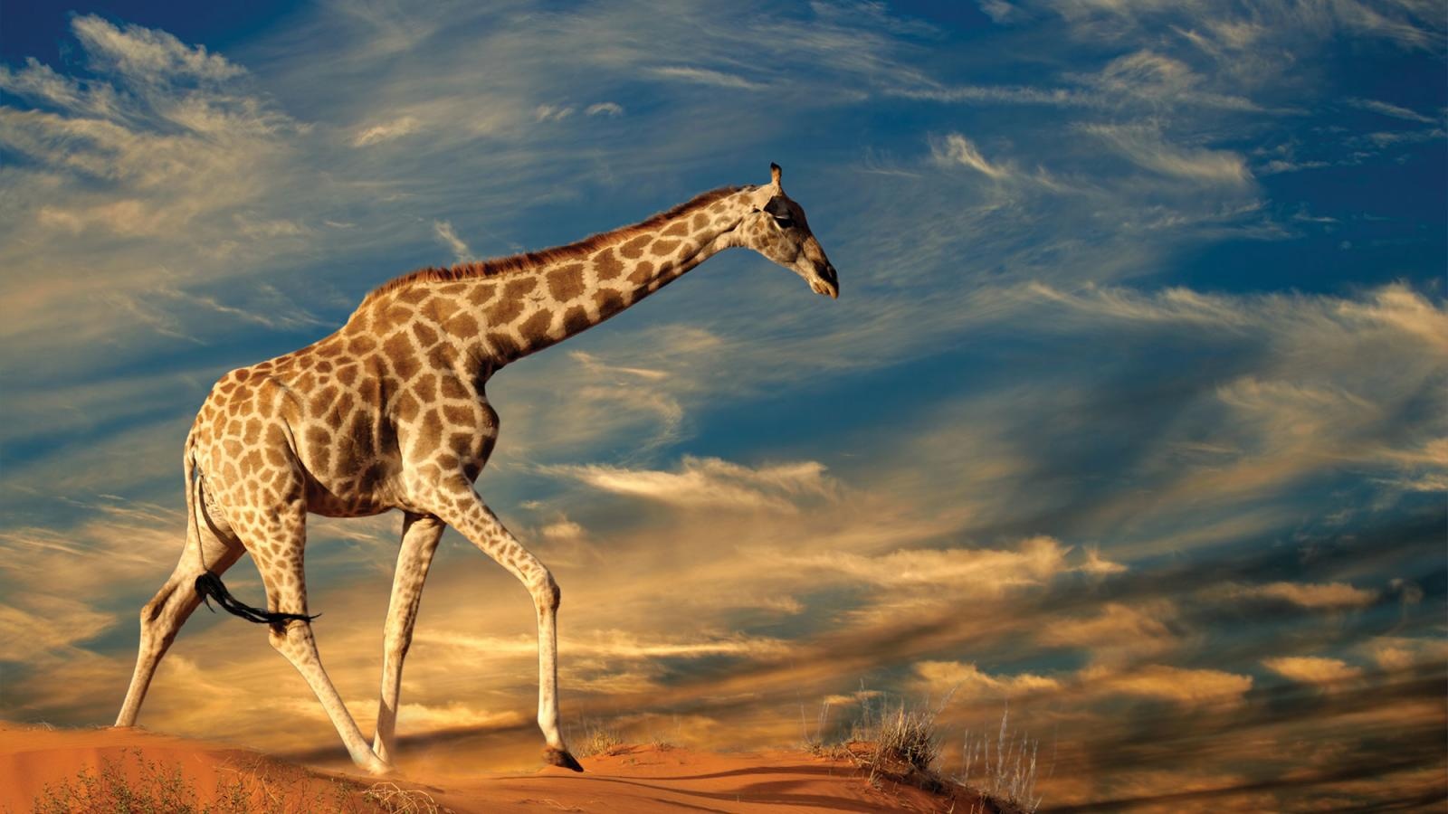 south-africa-tour-7