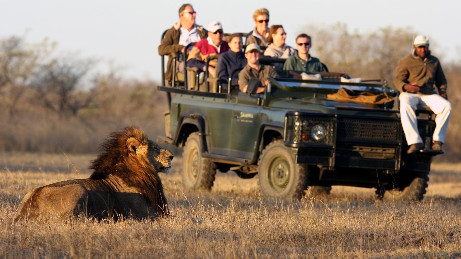 SavannaLodge-Safari6_ey0dip