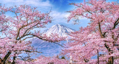 آشنایی با آب و هوای کشور زیبای ژاپن
