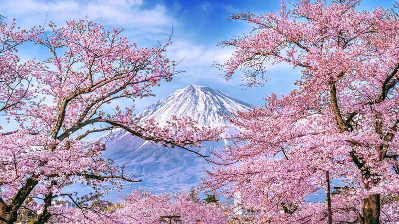 آشنایی با آب و هوای کشور زیبای ژاپن