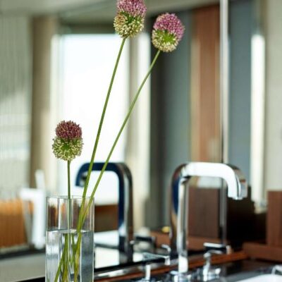 Hyatt Regency (22)
