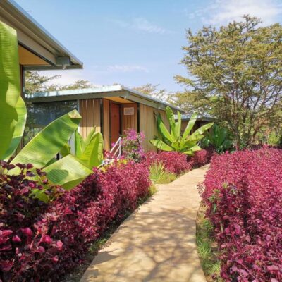 Jambo Mara Safari Lodge 4 str (3)