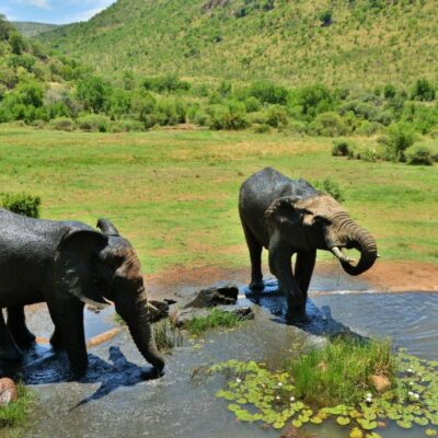 KWA Maritane Game Lodge ۴ Star Luxury (10)
