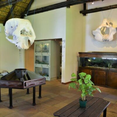 KWA Maritane Game Lodge ۴ Star Luxury (6)