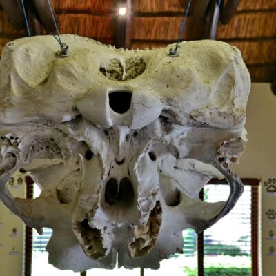 KWA Maritane Game Lodge ۴ Star Luxury (7)