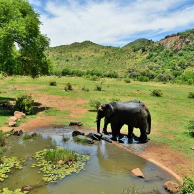 KWA Maritane Game Lodge ۴ Star Luxury (8)