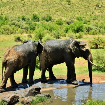 KWA Maritane Game Lodge ۴ Star Luxury (9)
