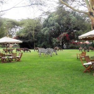 Lake Naivasha Country Club kenya