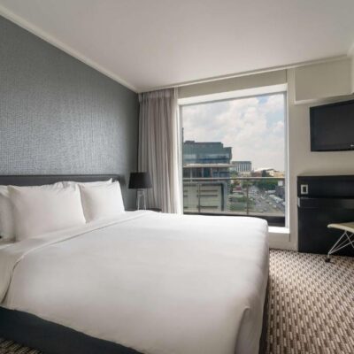 Radisson blu Hotel ۵ Star Top (8)