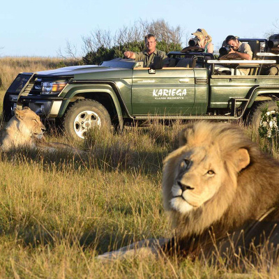 سافاری آفریقای جنوبی South African safari