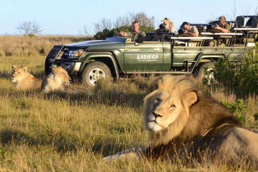 سافاری آفریقای جنوبی South African safari