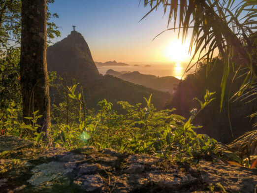 پارک ملی تیجوکا (Parque Nacional da Tijuca)؛ قلب سبز ریودوژانیرو