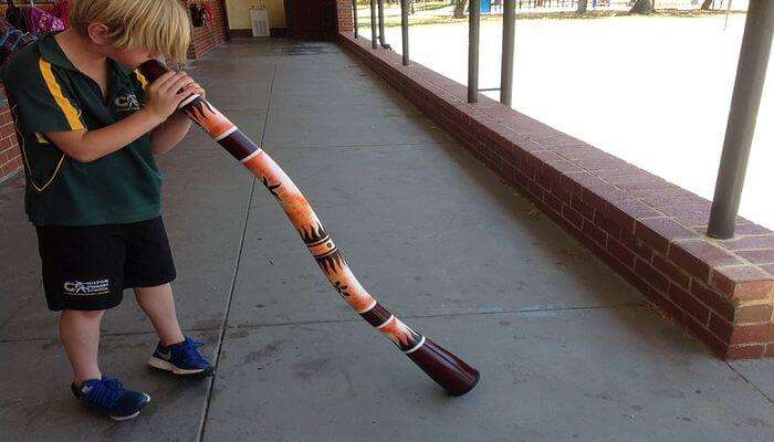 Didgeridoo