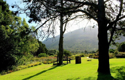 باغ گیاه‌ شناسی کرستن‌ بوش، بهشتی سبز در دامنه کوه تیبل