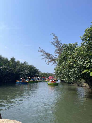 ناهید حسنی