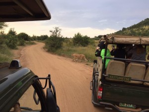 gallery-africa-south95 (13)