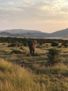 gallery-africa-south95 (8)
