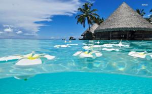 costa-rica-(3)