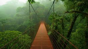 costa-rica-(6)
