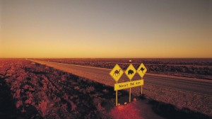 gallery-australia11