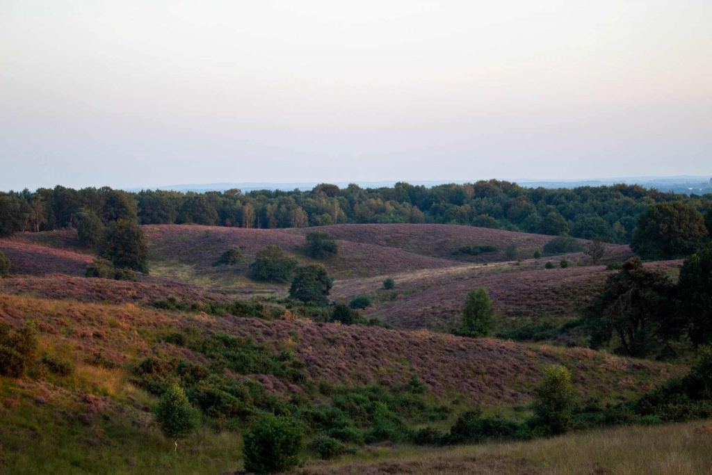 منطقه Veluwe هلند