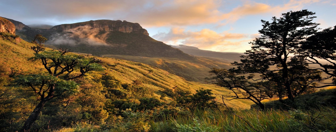 آفریقا جنوبی کشوری با جاذبه های حیرت انگیز